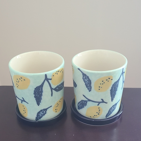 2 Pavo Planter | Patterned Ceramic Planter - Picture 1 of 10